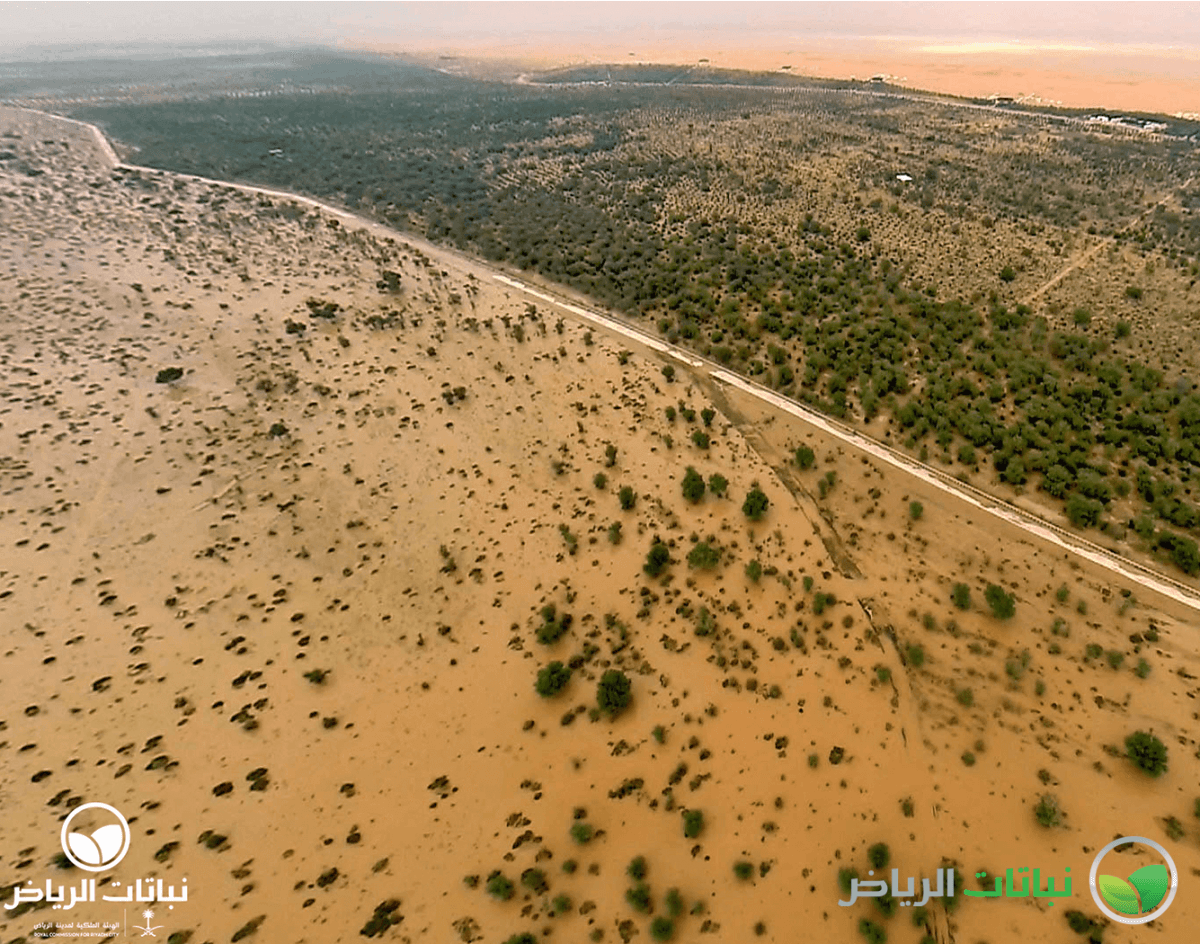 Imam Abdulaziz bin Mohammed Reserve